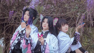 [Kimetsu no Yaiba cos]❈Tiga Saudara Kupu-Kupu di Palm Paradise❈[Axi/Tiongkok Selatan/Raja San]