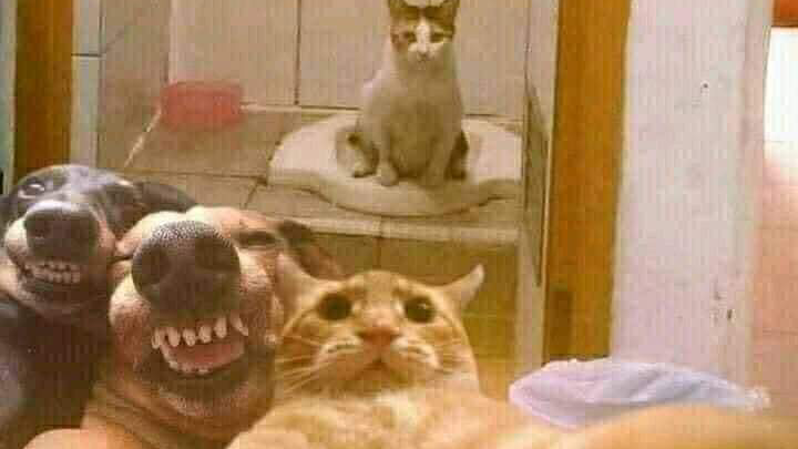 Hát hay quá😍😃