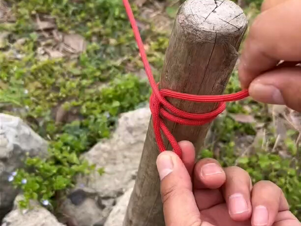 ราชาแห่งปมเชือก