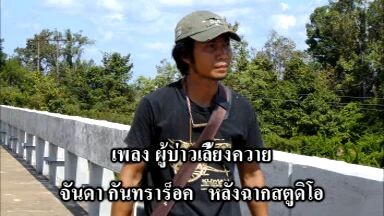 ผู้บ่าวเลี้ยงควาย