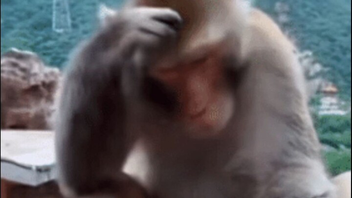 Pak Tua langsung melirik pesanan—tampaknya masih banyak orang di kota besar yang naik kuda.