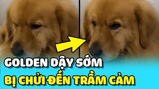 💥Chú Golden bị CHỬI ĐẾN TRẦM CẢM vì mỗi ngày DẬY SỚM đúng 5h | TIN GIẢI TRÍ