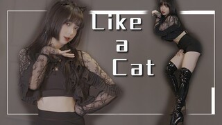 ❤泡er❤可以做你的小猫吗/猫步轻俏/like a cat竖版