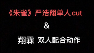 【严浩翔】【翔霖】【朱雀】双生默契｜漂移走位｜练习室严浩翔单人cut+翔霖双人部分