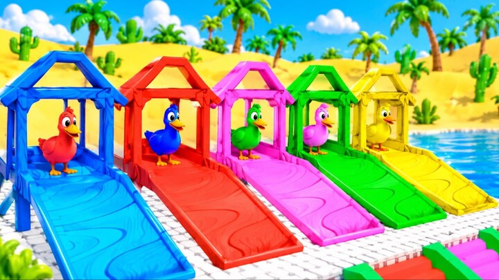 🐥 Colorful Baby Birds & Rainbow Slides! 🌈 | Funny 3D Cartoon Animation for Kids