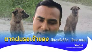 "พ่อดุ๊ก" เล่าเบื้องหลังชีวิต 'น้องสายฝน' สะเทือนใจคนรักหมา|Thainews - ไทยนิวส์|EXCLUSIVE 26-jj