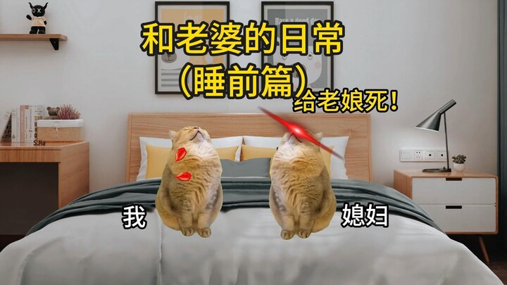 【Meme kucing】Kehidupan sehari-hari dengan istri (versi sebelum tidur)