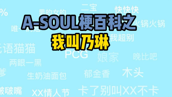 【A-SOUL梗百科】004-我叫乃琳