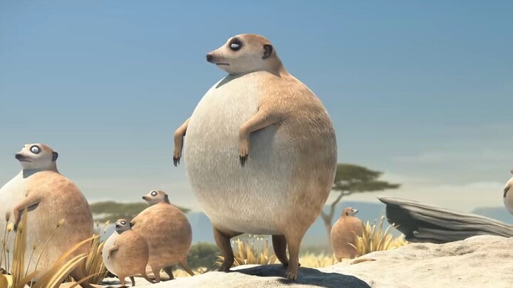 If animals were all fat, round, cute balloons #HealingAnimation #Cute