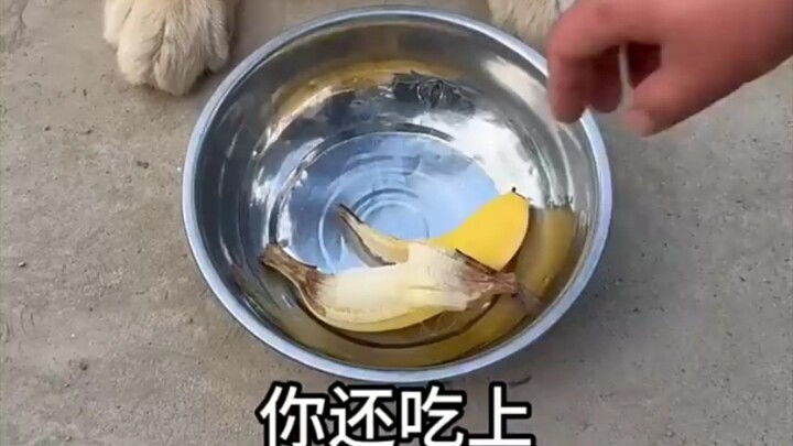 Funny video 📹