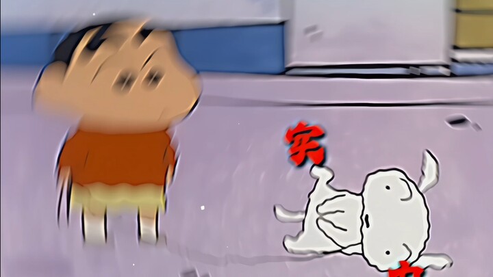 “妄想与白神比拼”