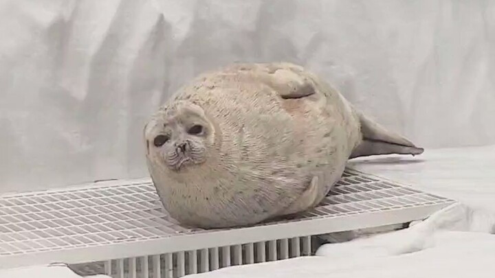 Huh? What… never mind, time to sleep.