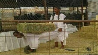 วิดีโอตลกสุ่มทั้งหมด 121- Stop The Cap Meme