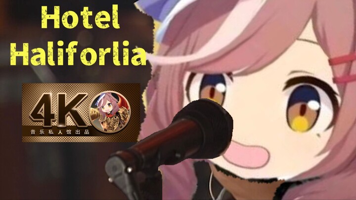 【哈基杯Day13】哈 基 旅 店（完整版）