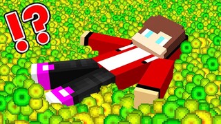 Minecraft but Mikey & JJ have 1,000,000 XP (Maizen)