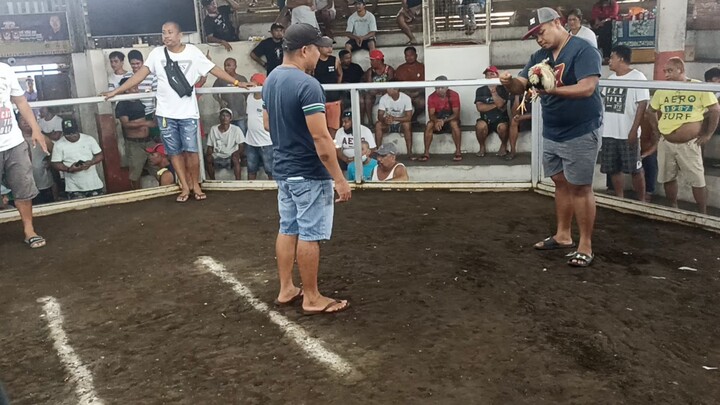 asenap grey, sayang na leeg pa draw pa tuloy. 1x winner lng last fight draw.