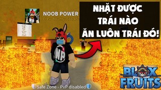 NOOB Power Ăn TẤT CẢ Trái Ác Quỷ Mà Tôi Tìm Được | Blox Fruits