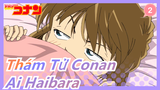 [Thám Tử Conan/HD] Sự xuất hiện của Ai Haibara trong M19_2