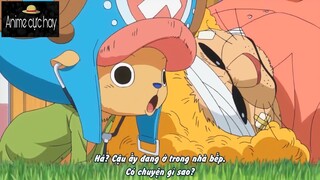 Luffy nhận ra mình là con ông cháu cha #Animecuchay #schooltime