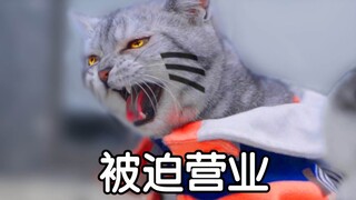 前方高燃，这可能是我见过最热血的猫片！【火影忍者/踩点】