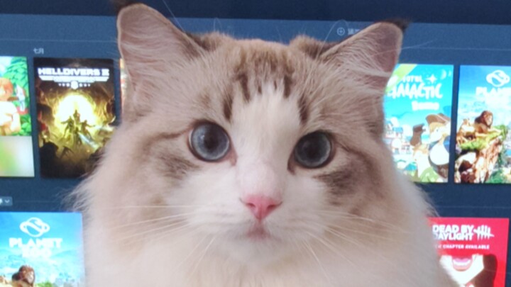 Kalau kamu nggak sentuh aku, aku nggak bakal pergi dari sini!