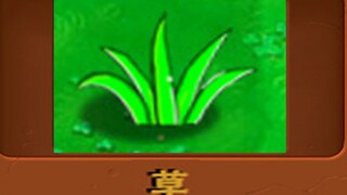 新 植 物 ： 草