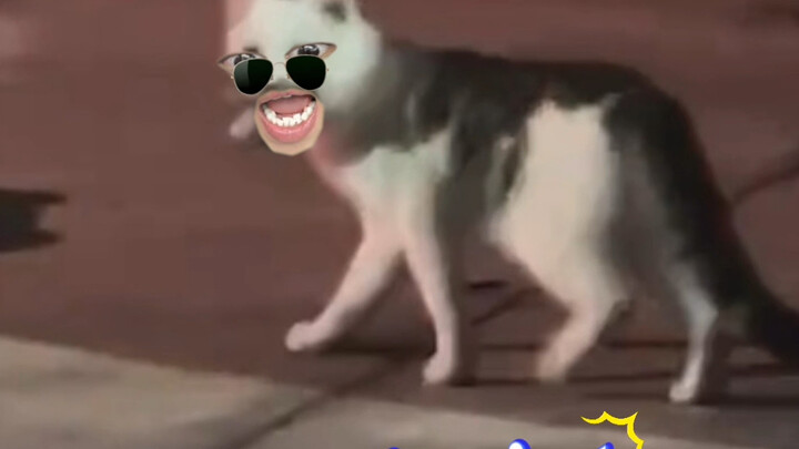 لا تفسد لي BYD