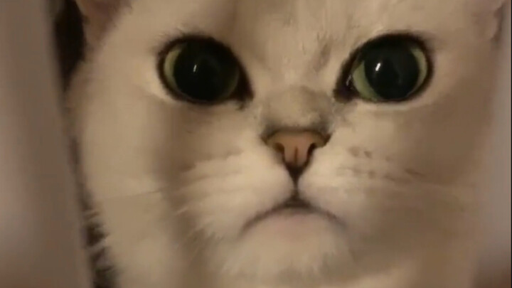 شو هالنظرة اللي عندك؟