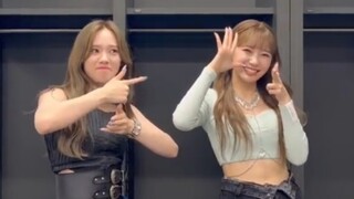 Family Challenge! JYP Official TikTok Update