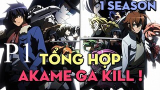 Tóm tắt "Sát thủ Akame" | P1 | AL Anime