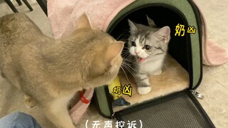 คุณพูดจาหว่านล้อมแบบนี้จะไปขู่ใครล่ะ