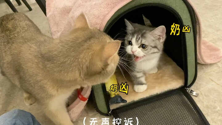 你这么奶吓唬谁呢