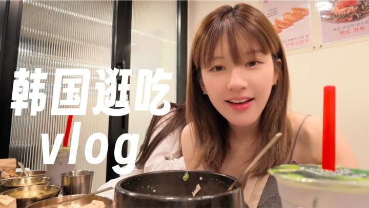 Zhao Lusi | Korean Vlog | Shopping | Eating Bulgogi | Joyful Diary