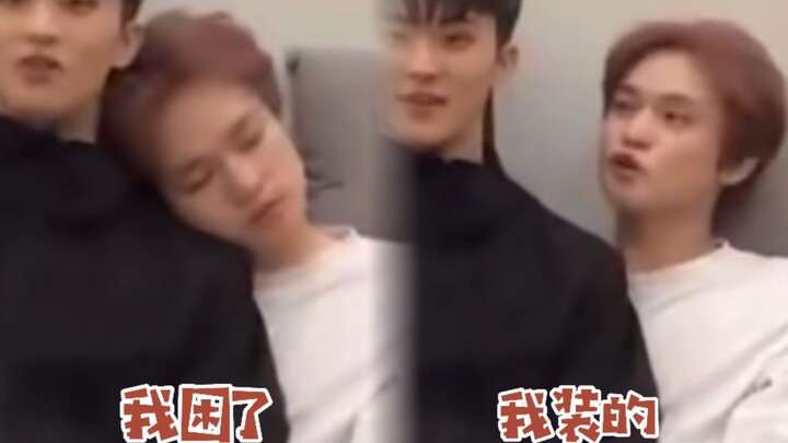 【Chung Thần Lạc】Buồn ngủ quá～ nhưng gặp chuyện thú vị thì nhất định phải tham gia～