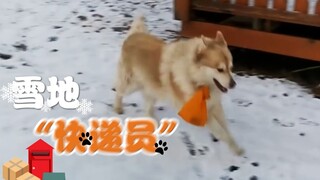 A little "courier" living near the North Pole helps neighbors in their hour of need.