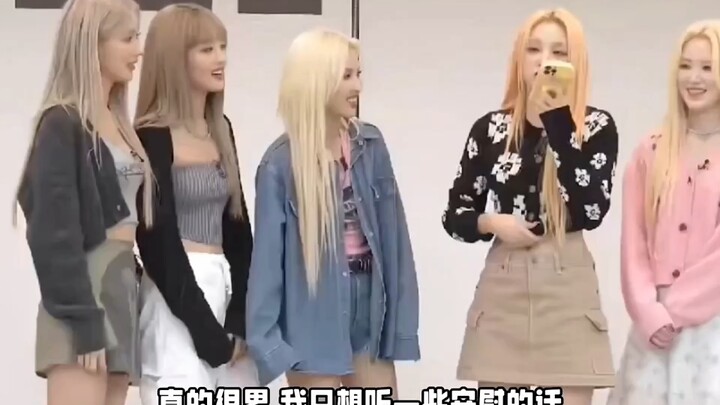 “为什么我扔掉的沙发会出现在公司？？！” 哈哈哈哈哈哈哈
