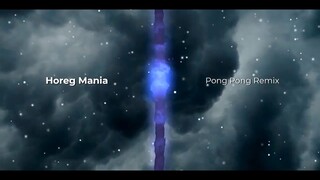 HOREG MANIA - PONG PONG REMIX