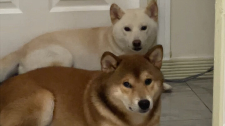 Mom's big boy (where are you running off to?)