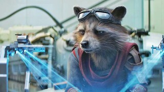 【Guardians of the Galaxy】คุณจะไม่รัก Rocket Raccoon ที่หล่อเหลาขนาดนี้ได้อย่างไร?