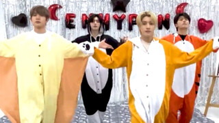 ENHYPEN 爱豆两天一夜 Bite Me 动物睡衣版预告