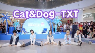 【竟然能看到这首歌的翻跳】Cat&Dog-TXT (Kpop in public成都远大购物中心舞台）