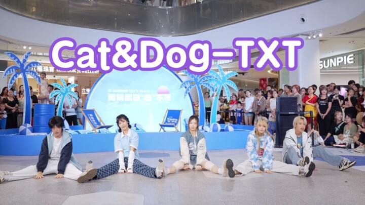 [I was surprised to see a cover of this song] Cat & Dog - TXT (Kpop in public Chengdu Yuanda Shoppin