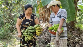 Hơn 8 Tháng Vun Trồng Giờ Đã Đến Ngày Thu Hoạch | TKQ & Family T841