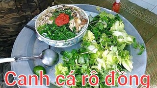 Thánh Ăn Canh. Làm Một Tô Canh Cá Rô Đồng Siêu To Ăn hết Bay | Biển Nguyễn ngọc.