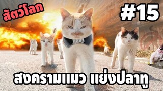 Ep.15 สัตว์โลกกวนตีน - [ พากย์นรก ] | easy boy