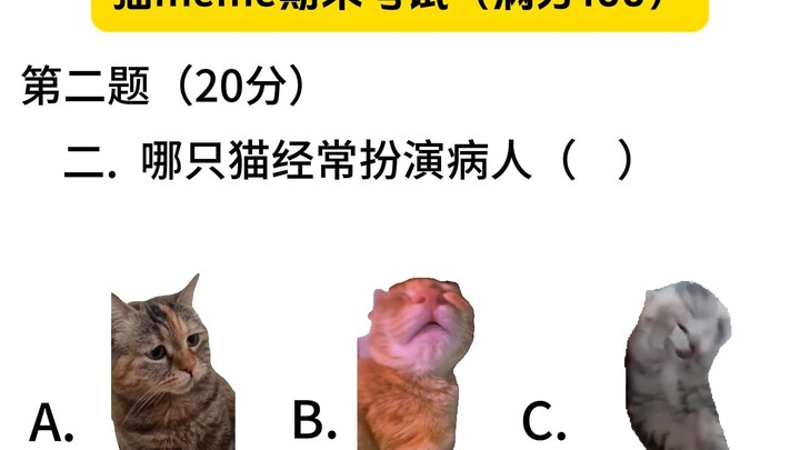 猫meme期末考试来啦，看看自己能打多少分