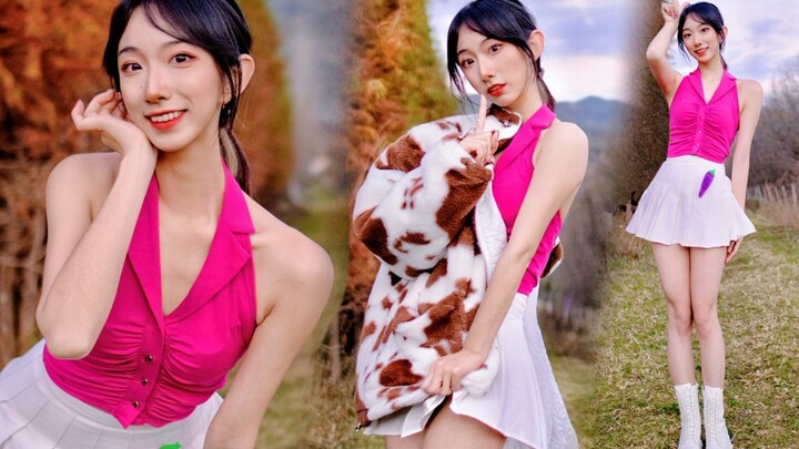 Masuklah~✨ Rusa Sapi Natal❤️ Rusa saling bertabrakan! 【Shana】