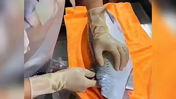 สิบปีฆ่าปลาไม่มีใครสนใจ แค่ขยับมือหนึ่งทีก็เป็นที่รู้จักไปทั่ว ดูสาวสวยฆ่าปลาช่างเป็นความเพลิดเพลิน 