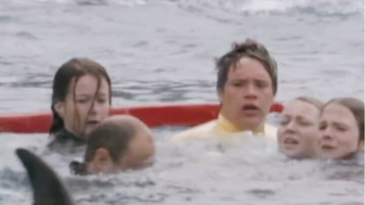 The World's Most Amazing Misunderstandings