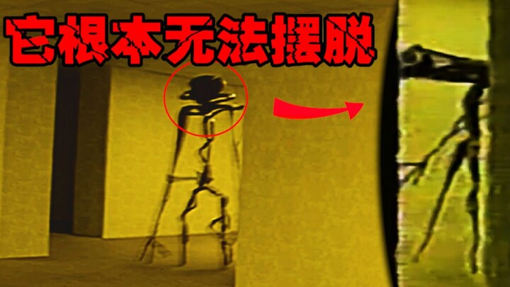【The backrooms解析】面积大过地球拥有超高机密的空间（后房 暗房 密室）